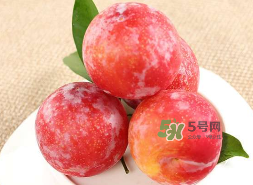 紅布林孕婦可以吃嗎？孕婦可以吃紅布林嗎？