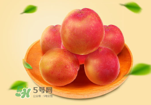 紅布林孕婦可以吃嗎？孕婦可以吃紅布林嗎？