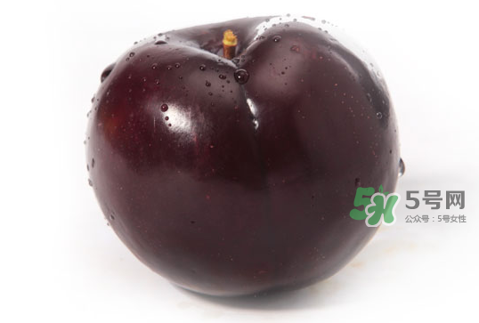 黑布李多少錢一斤？黑布李和紅布李哪個貴？