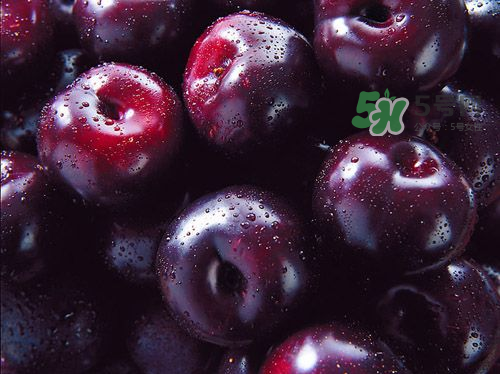 黑布李多少錢一斤？黑布李和紅布李哪個貴？