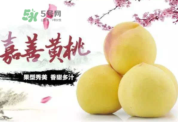 嘉善黃桃多少錢一斤？嘉善黃桃的上市時(shí)間