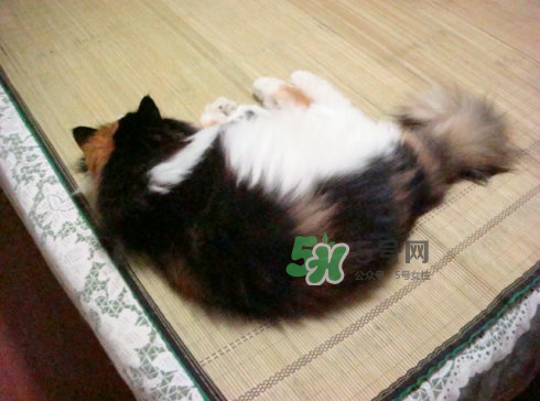 三伏天可以睡涼席嗎？三伏天睡涼席好嗎？