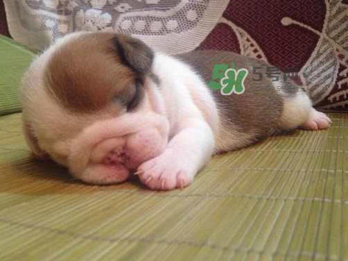 三伏天可以睡涼席嗎？三伏天睡涼席好嗎？