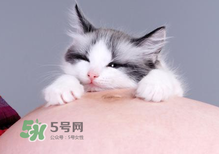 孕婦被貓抓了怎么辦？孕婦被貓抓傷了對寶寶有什么影響？