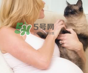 孕婦被貓抓了怎么辦？孕婦被貓抓傷了對寶寶有什么影響？