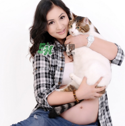 孕婦被貓抓了怎么辦？孕婦被貓抓傷了對寶寶有什么影響？