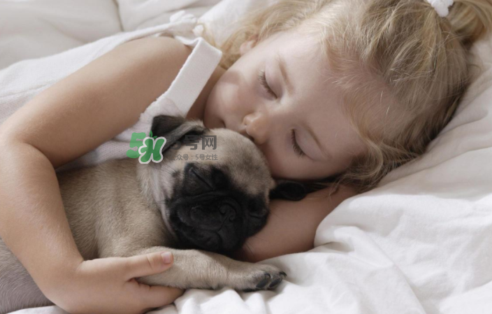 寵物對(duì)嬰兒的影響 寵物對(duì)嬰兒的危害有哪些？