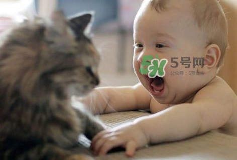 嬰兒被貓抓了怎么辦？嬰兒被貓咪咬了怎么辦？
