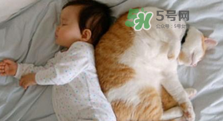嬰兒被貓抓了怎么辦？嬰兒被貓咪咬了怎么辦？