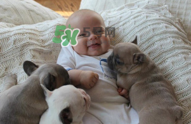 嬰兒被貓抓了怎么辦？嬰兒被貓咪咬了怎么辦？