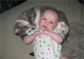 嬰兒被貓抓了怎么辦？嬰兒被貓咪咬了怎么辦？