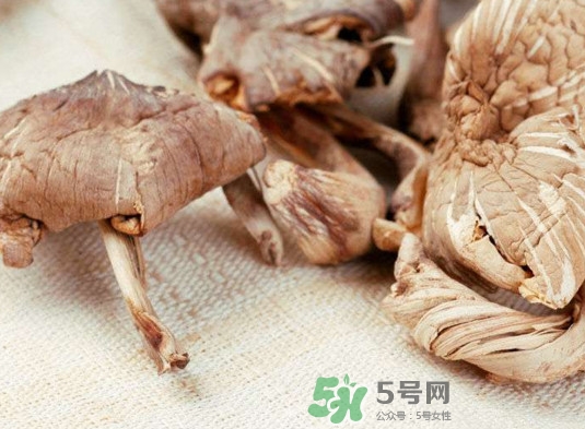 雞樅菌有毒嗎？雞樅菌不能和什么一起吃？