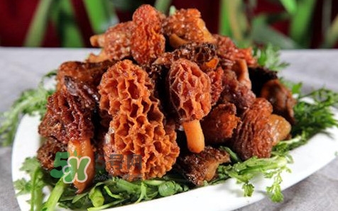 羊肚菌生長在什么地方？羊肚菌同什么煲湯最好