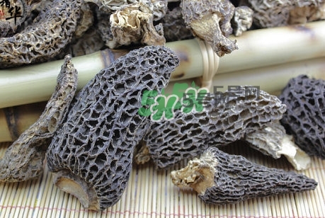 羊肚菌最大產(chǎn)地是哪兒？羊肚菌怎么泡發(fā)