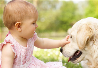 寵物對嬰兒的影響 寵物對嬰兒的危害有哪些？
