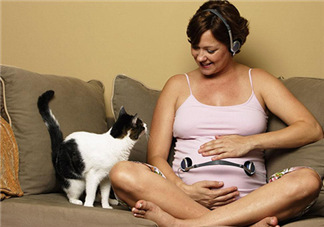 孕婦被貓抓了怎么辦？孕婦被貓抓傷了對寶寶有什么影響？