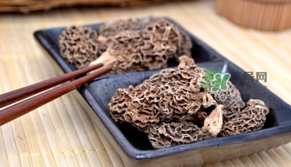 羊肚菌可以泡水喝嗎？羊肚菌可以燉鴿子嗎