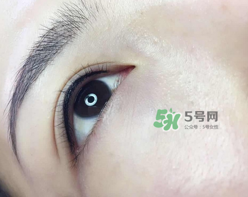 美瞳線有幾種款式？美瞳線有小尾巴嗎？