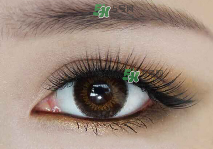 種睫毛會掉自己睫毛嗎？種睫毛掉了還會長嗎？