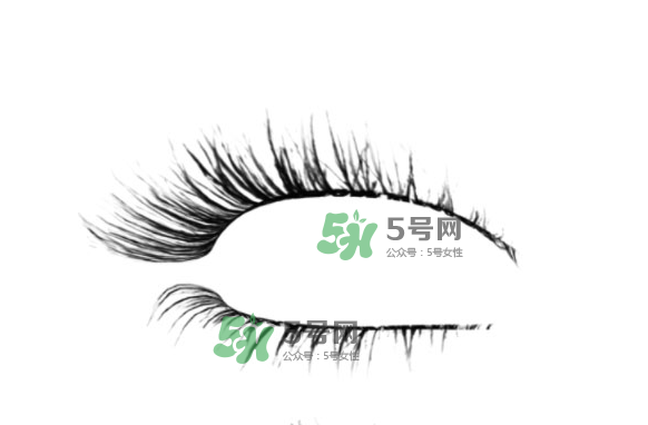 種睫毛會掉自己睫毛嗎？種睫毛掉了還會長嗎？