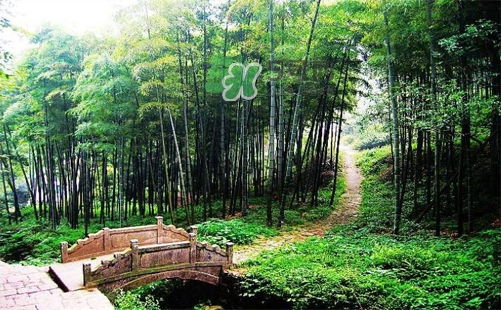 夏天去哪里旅游最好？夏天旅游哪里涼快？