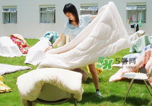 三伏天能曬被子嗎？三伏天曬被子好嗎？