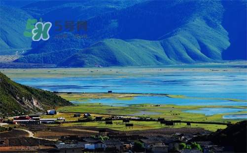 夏天去哪里旅游最好？夏天旅游哪里涼快？