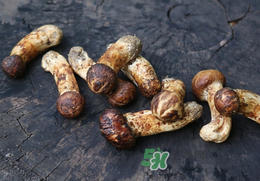 新鮮松茸怎么吃？松茸怎么吃最有營養(yǎng)