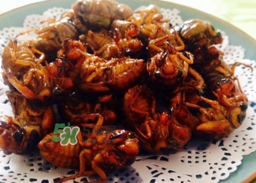 知了和蝦能一起吃嗎？知了猴能和蝦一起吃嗎？