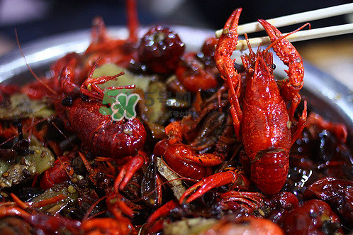 孕婦能吃麻辣小龍蝦嗎？吃麻辣小龍蝦會流產(chǎn)嗎？