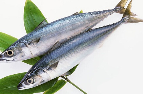 鳡魚吃什么？翹嘴魚和鳡魚有什么區(qū)別