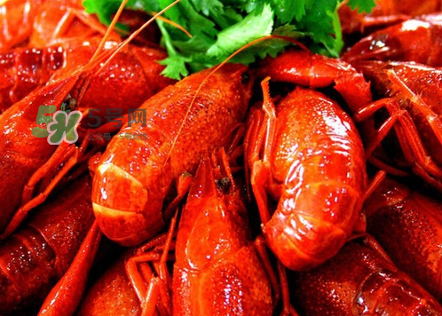 孕婦能吃麻辣小龍蝦嗎？吃麻辣小龍蝦會流產(chǎn)嗎？