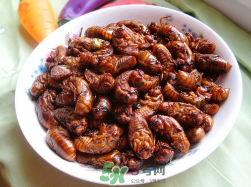 知了猴可以帶上飛機嗎？知了猴能帶上飛機嗎？