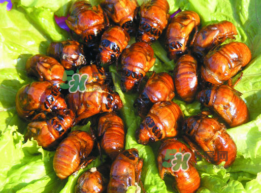 知了猴什么味道？知了猴好吃嗎？