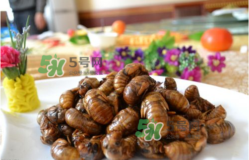 知了猴什么味道？知了猴好吃嗎？