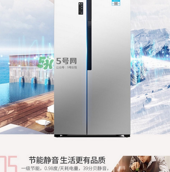 冰箱究竟該買(mǎi)幾個(gè)門(mén)的？什么牌子的冰箱最好