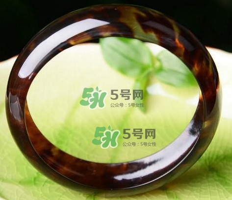 玳瑁是什么？玳瑁是國家保護動物嗎？