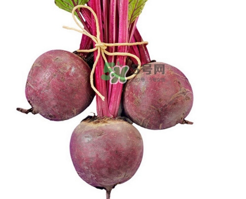 甜菜根有哪些功效？甜菜根什么人不能吃