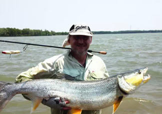 鳡魚(yú)多少錢(qián)一斤？野生鳡魚(yú)多少錢(qián)一斤