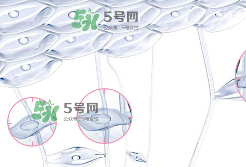 嬌韻詩青春賦活兩件套裝多少錢？嬌韻詩全新青春賦活系列怎么樣？