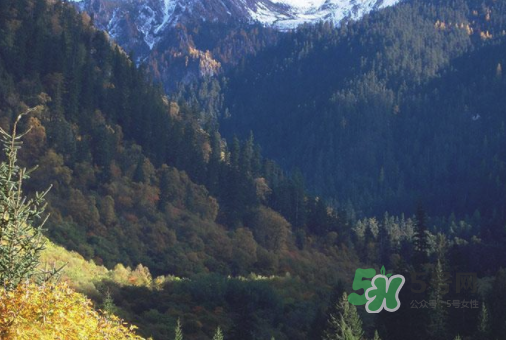 8月份去九寨溝人多嗎？8月份去九寨溝熱嗎？