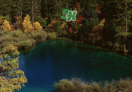 8月份去九寨溝人多嗎？8月份去九寨溝熱嗎？