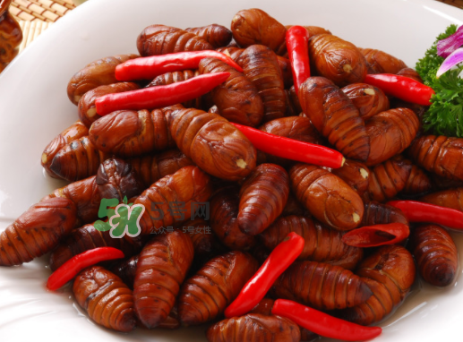 蠶蛹多少錢一斤？蠶蛹多少錢一斤2017？