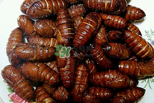 蠶蛹多少錢一斤？蠶蛹多少錢一斤2017？