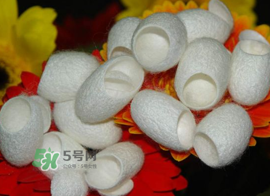 蠶繭多少錢一斤2017？2017年蠶繭價(jià)格是多少？