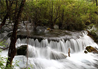8月份去九寨溝人多嗎？8月份去九寨溝熱嗎？