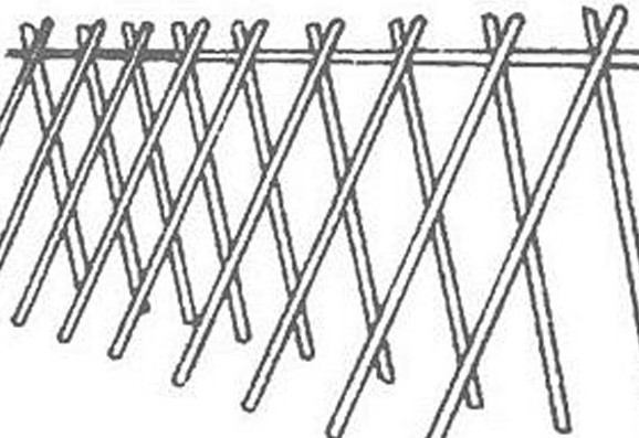 缸豆幾月份種？缸豆什么時(shí)候播種？