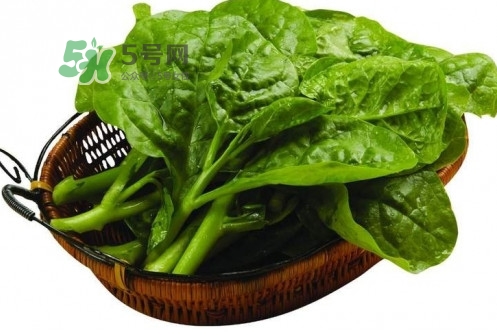 木耳菜怎么做好吃？木耳菜怎么吃