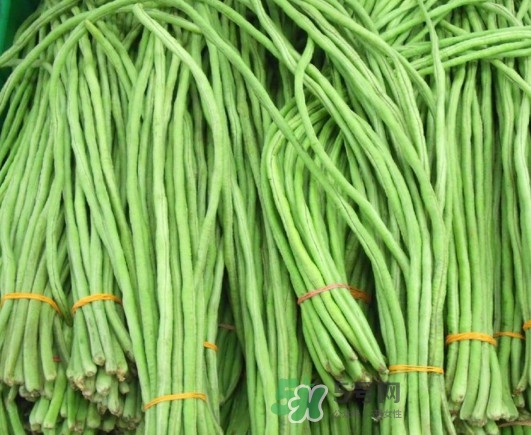 缸豆沒熟能吃嗎？酸缸豆怎么腌制的