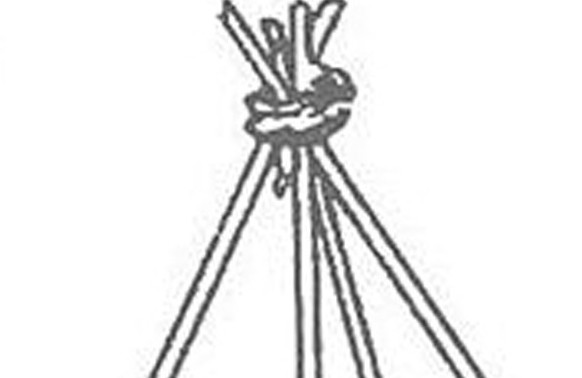 缸豆幾月份種？缸豆什么時(shí)候播種？